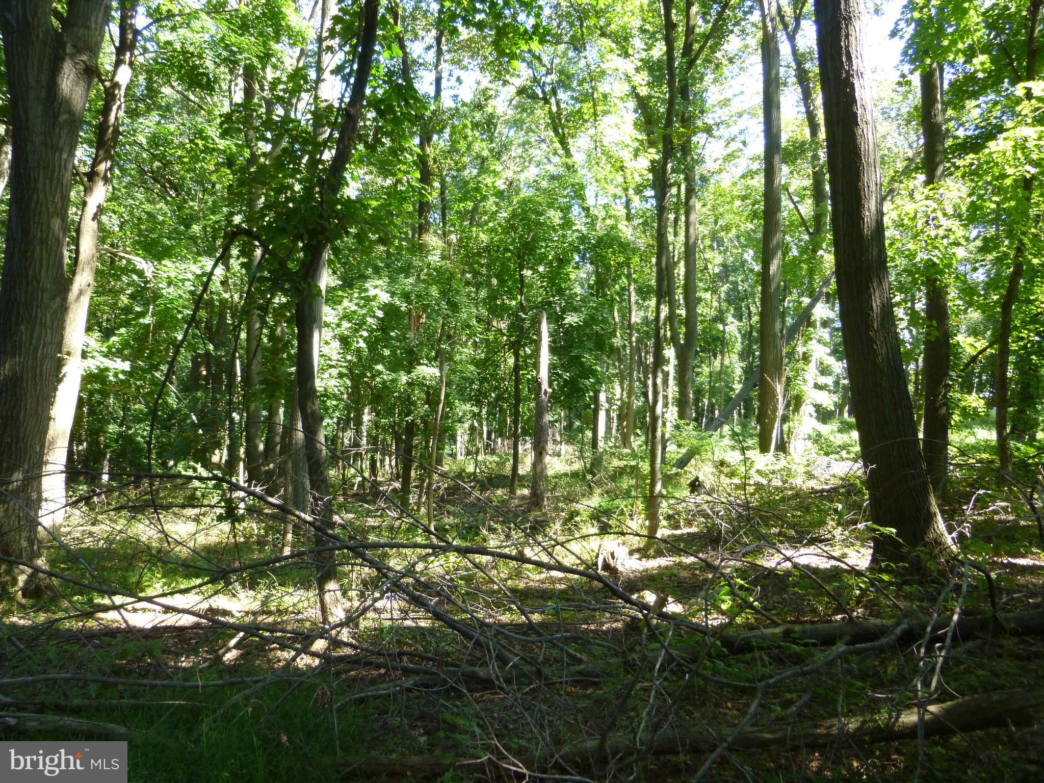 1011 St Matthews Road Chester Springs, PA 19425 - Photo 9 of 13