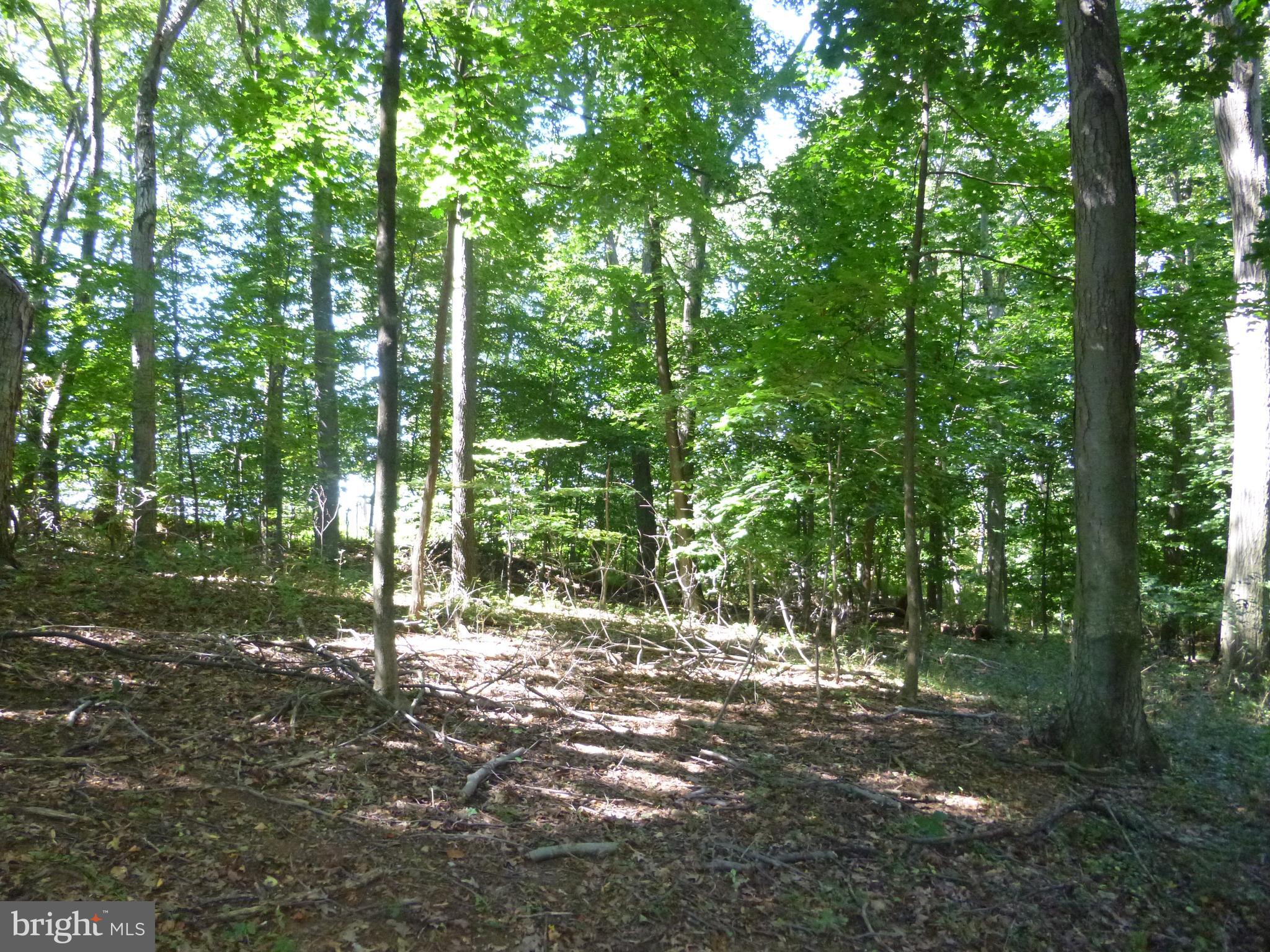 1011 St Matthews Road Chester Springs, PA 19425 - Photo 10 of 13