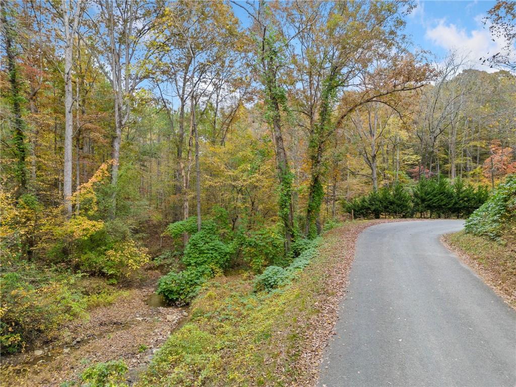 0 Hobson Road Jasper, GA 30143 - Photo 1 of 1 Gallery Image 1