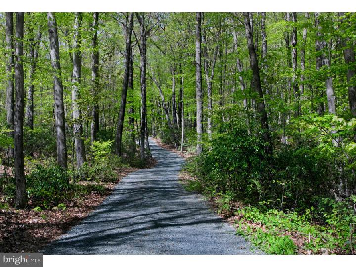 101 Poplar Road Boyertown, PA 19512 - Photo 25 of 25 Driveway