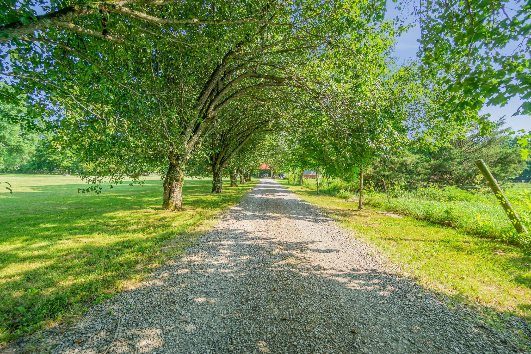 536 Parsons Road Christiana, TN 37037 - Photo 30 of 30 Gallery Image 30