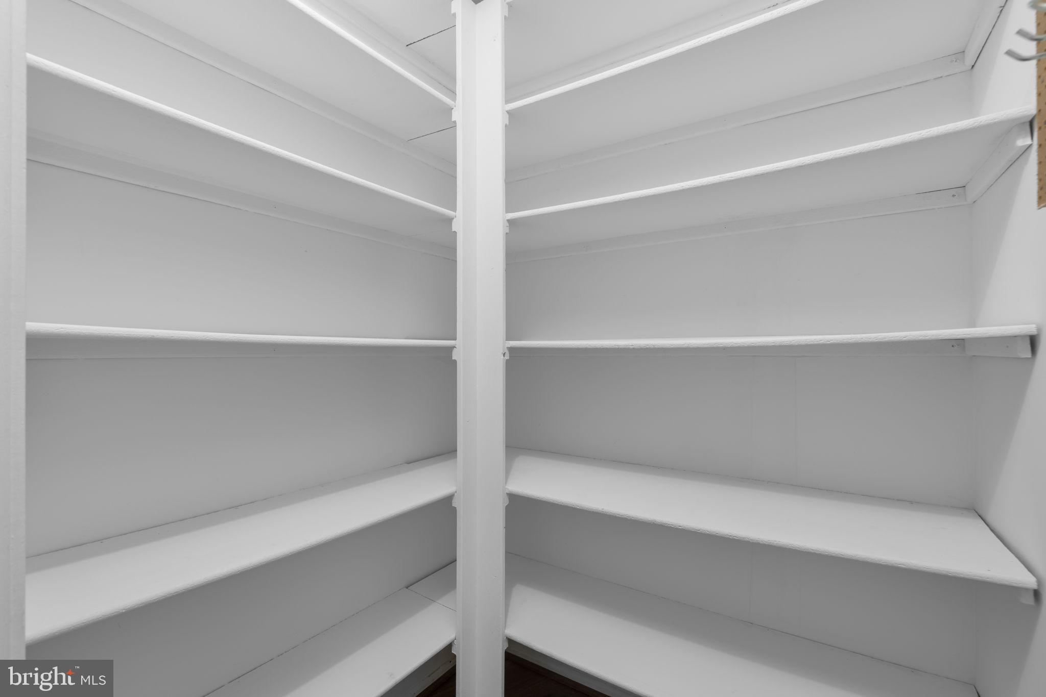 15115 Interlachen Drive, Unit 3204 Silver Spring, MD 20906 - Photo 17 of 50 Spacious, organized pantry awaits you.