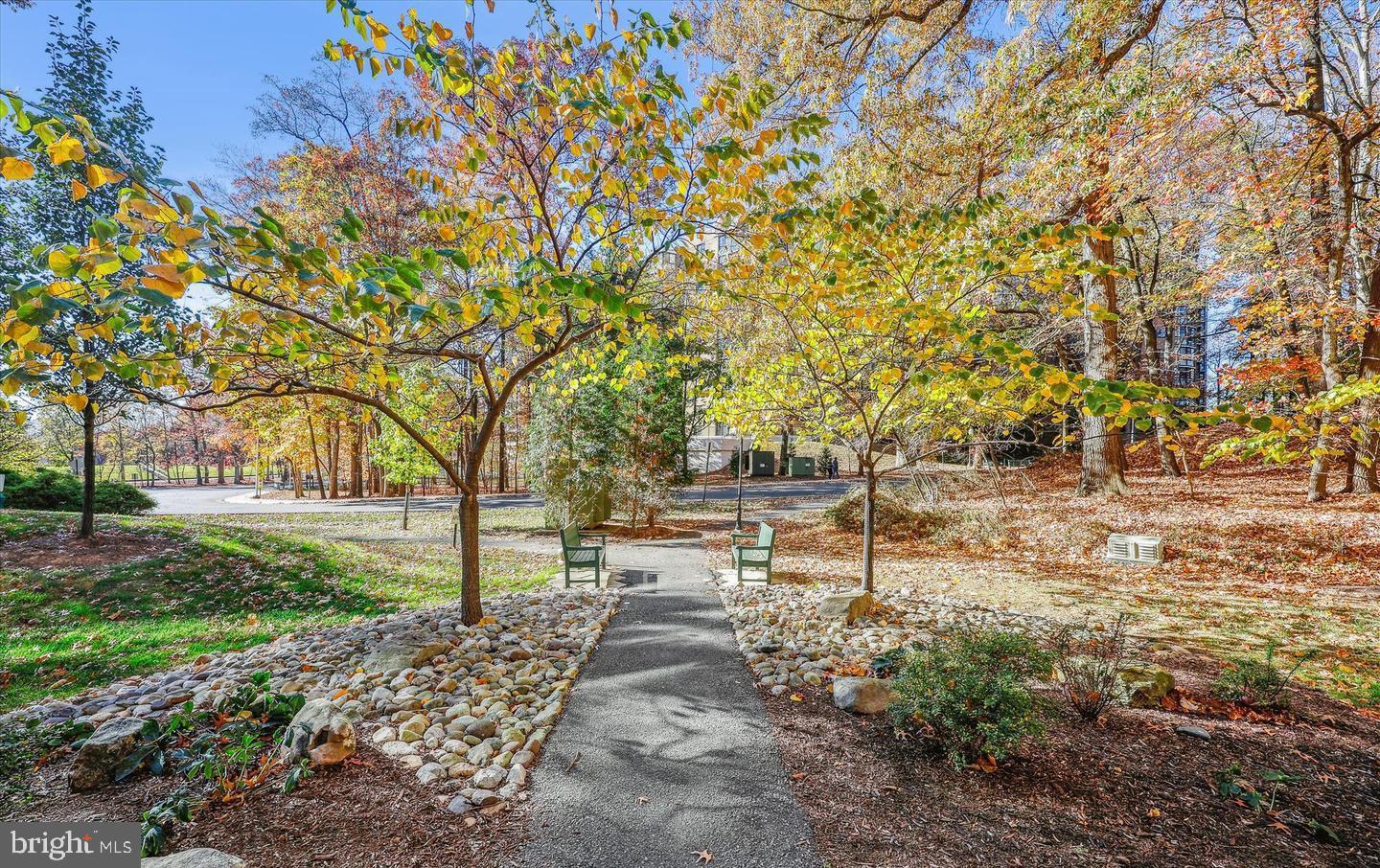 15115 Interlachen Drive, Unit 3204 Silver Spring, MD 20906 - Photo 2 of 50 Serene path through autumn hues.
