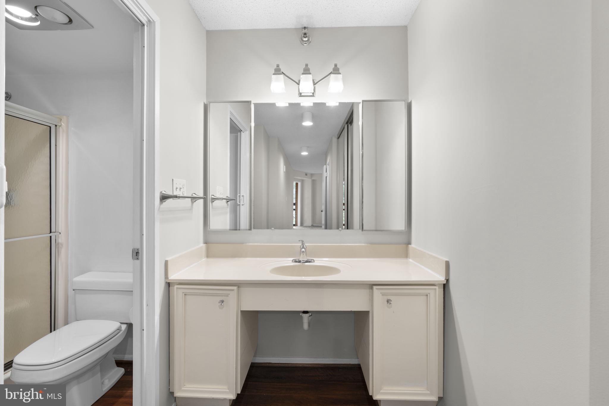 15115 Interlachen Drive, Unit 3204 Silver Spring, MD 20906 - Photo 22 of 50 Sleek, modern bathroom with elegance.