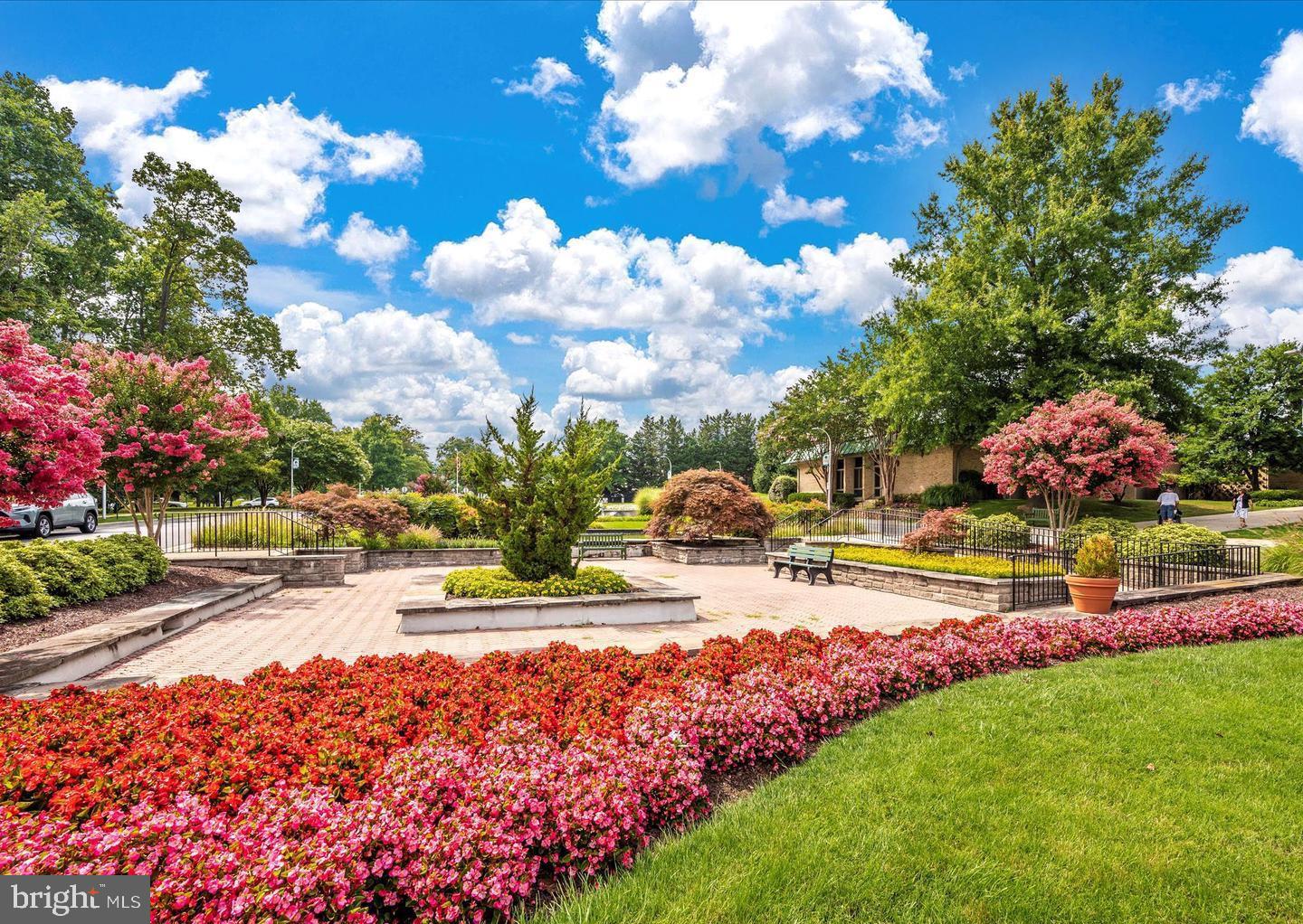 15115 Interlachen Drive, Unit 3204 Silver Spring, MD 20906 - Photo 29 of 50 Vibrant blooms under a sunny sky.