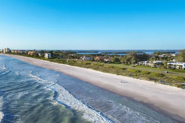 a potted plants sitting in front of a house
