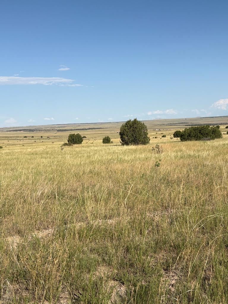 Lot 133 Ghost River Ranch Rye, CO 81069 - Photo 3 of 5 a view of ocean