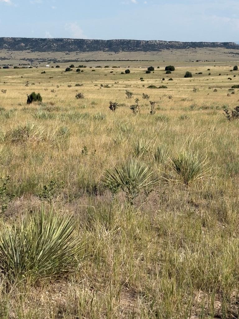 Lot 133 Ghost River Ranch Rye, CO 81069 - Photo 5 of 5 a view of ocean view