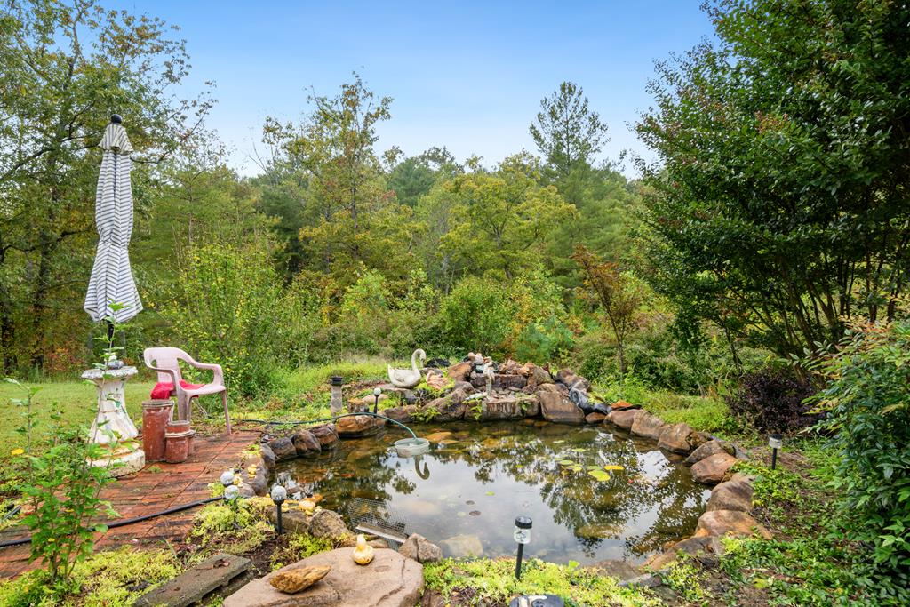170 Holly Ridge Drive Cana, VA 24317 - Photo 47 of 68 Gallery Image 47