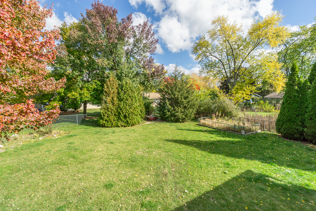 1908 Capri Lane Schaumburg, IL 60193 - Photo 36 of 39 a view of a trees in a yard