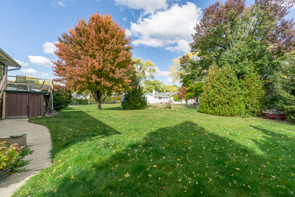 1908 Capri Lane Schaumburg, IL 60193 - Photo 38 of 39 a view of yard with green space