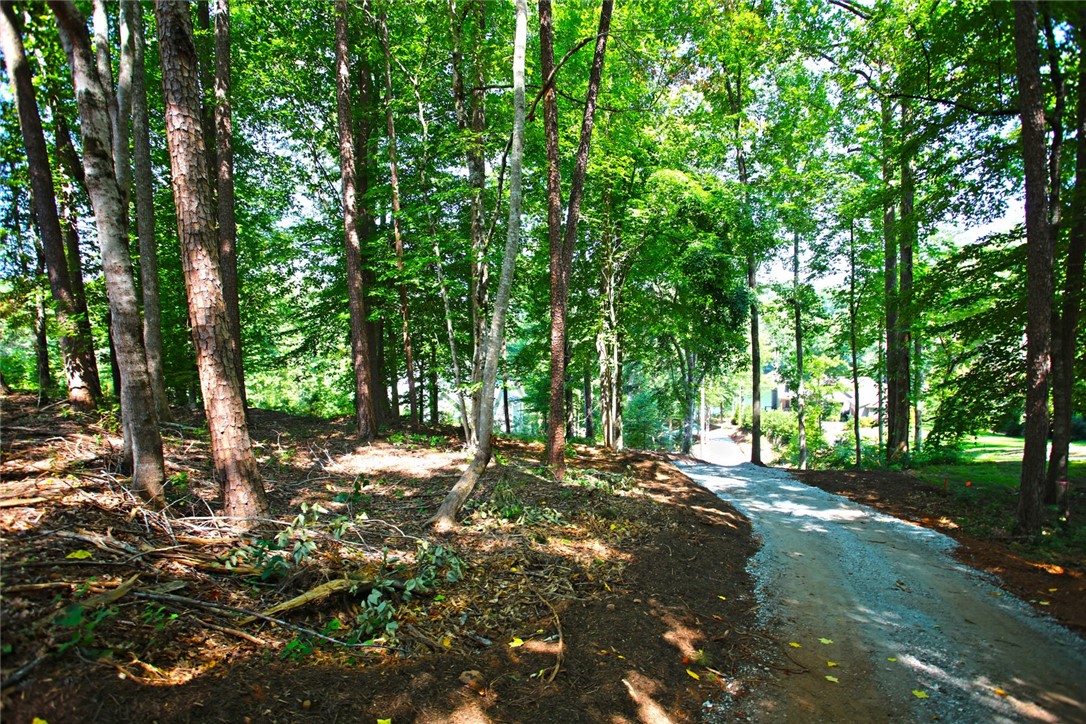 1359 Hbr Rdg Road Seneca, SC 29672 - Photo 12 of 39 A tranquil, tree-lined path leads to a secluded property, offering a peaceful retreat.