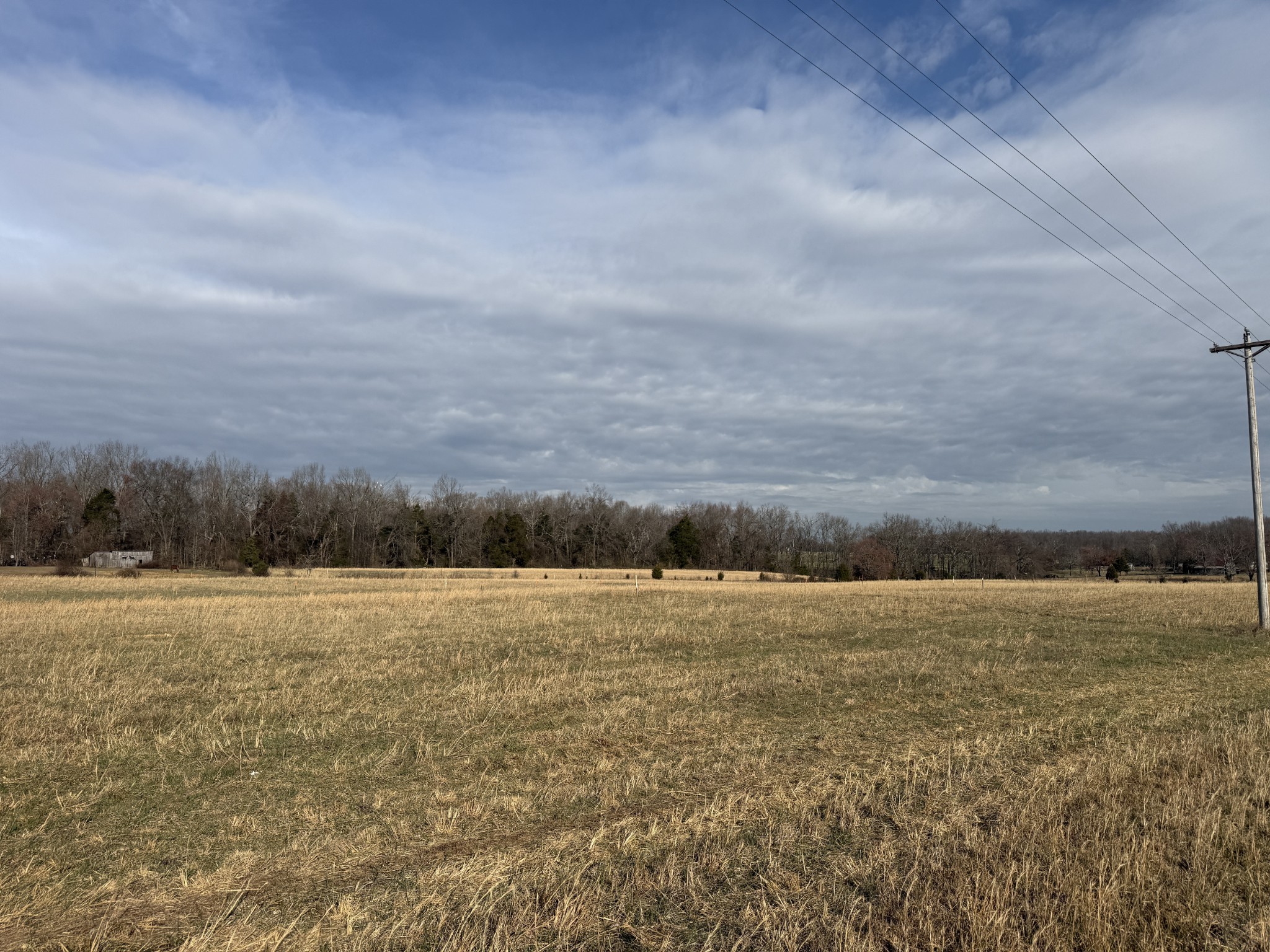 771 Mt Vernon Road Bethpage, TN 37022 - Photo 2 of 5