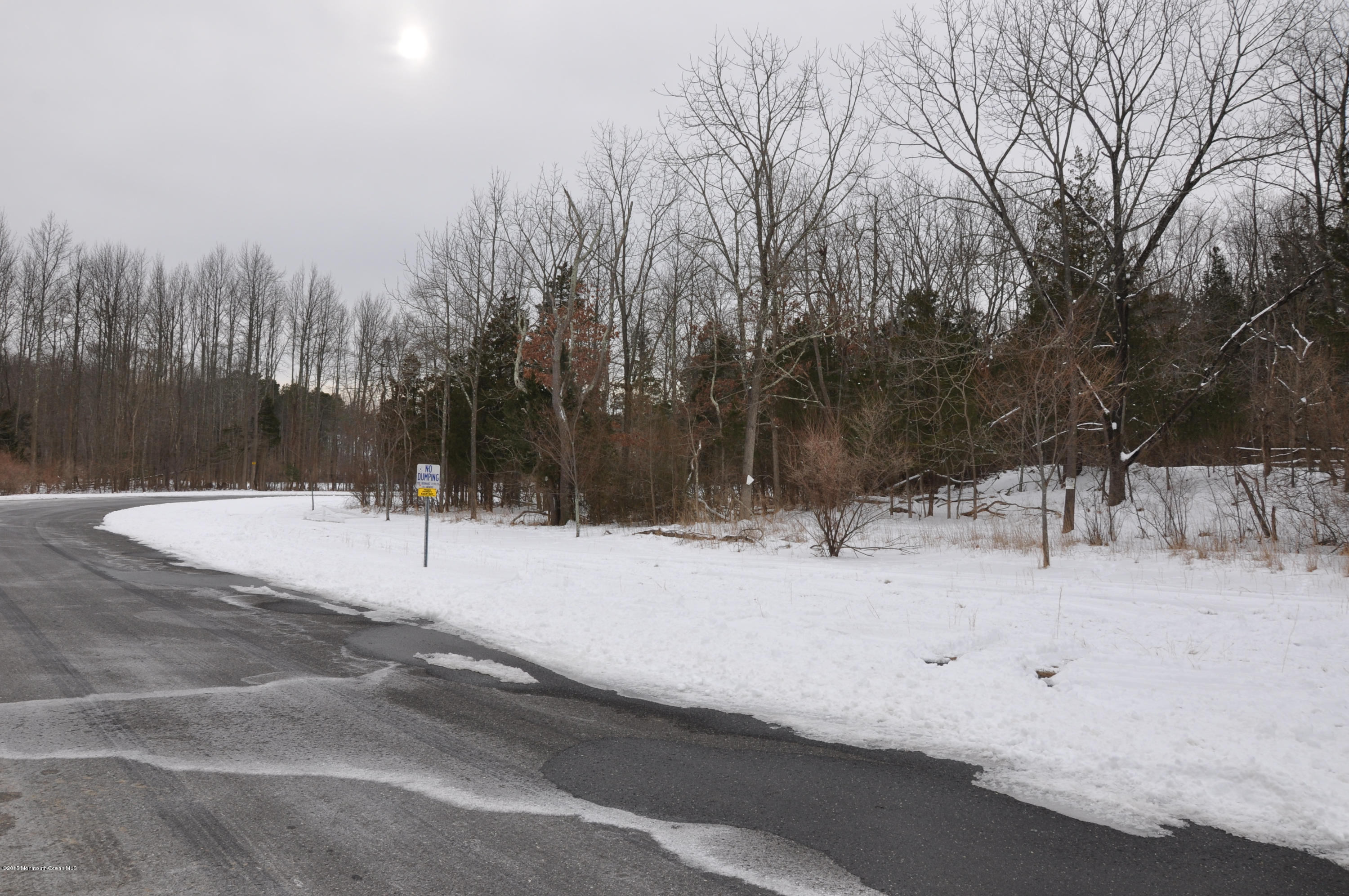 402 Georgia Road Freehold, NJ 07728 - Photo 3 of 5 a view of a snow on the road