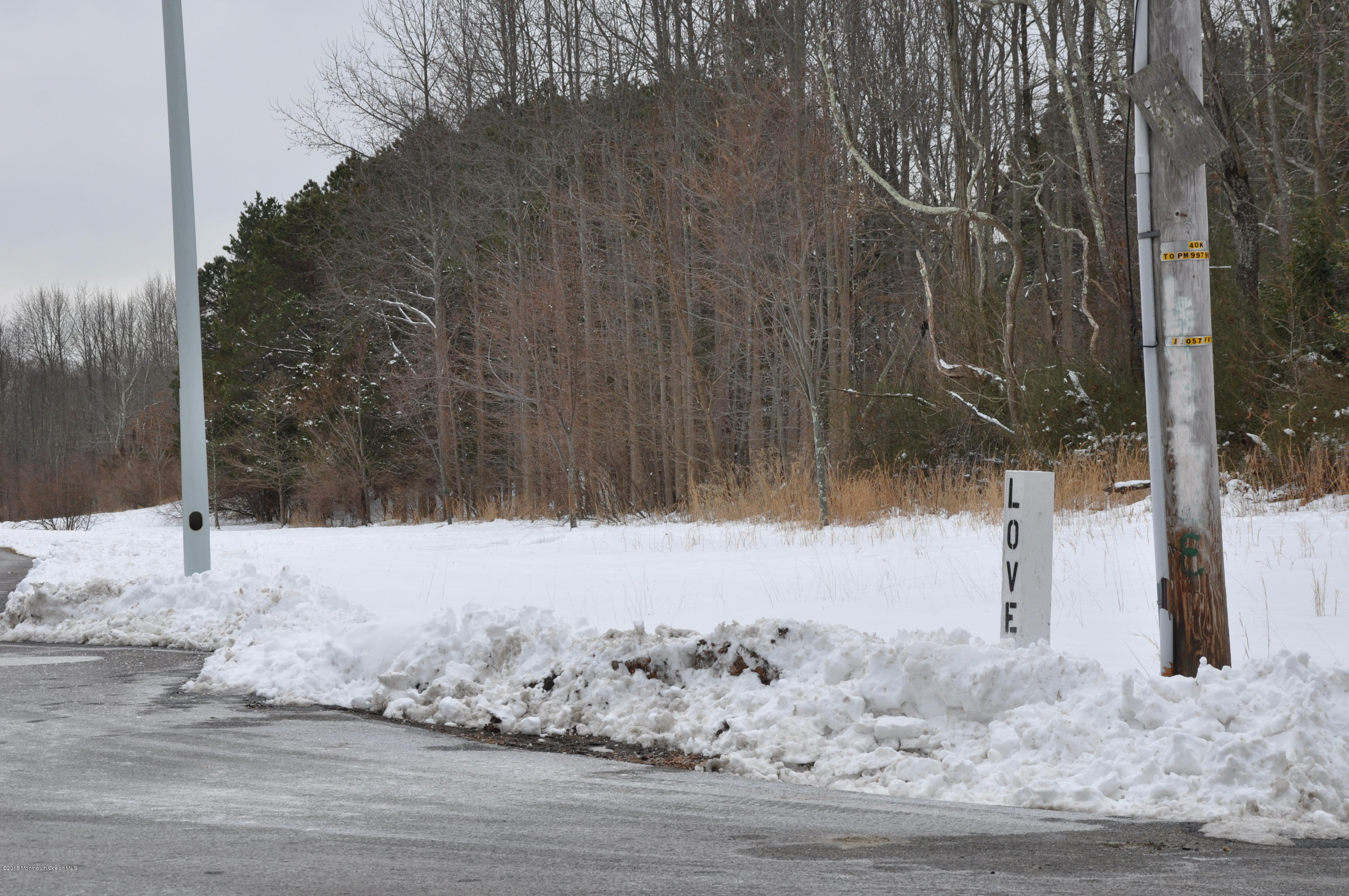 402 Georgia Road Freehold, NJ 07728 - Photo 5 of 5 a view of snow on the road