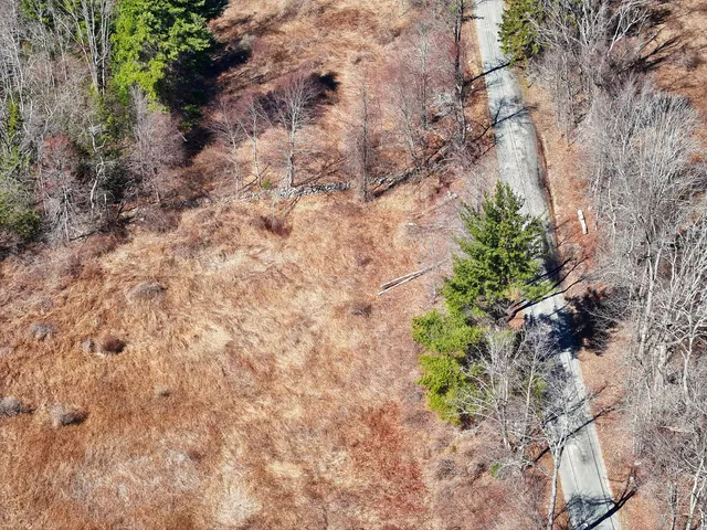 a view of a yard with plants and trees