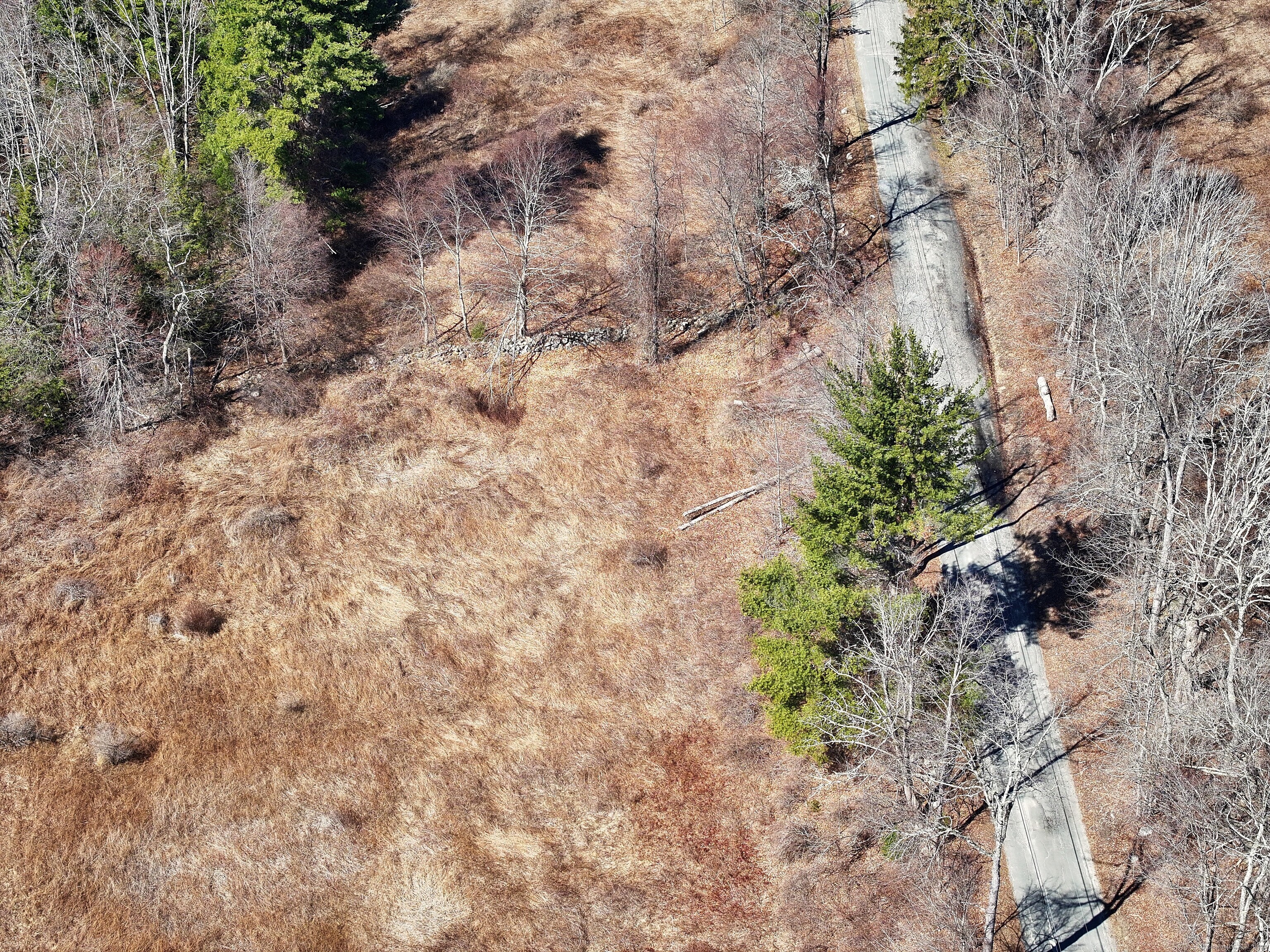 115 Old Robertsville Road Winchester, CT 06098 - Photo 8 of 13 a view of a yard with plants and trees