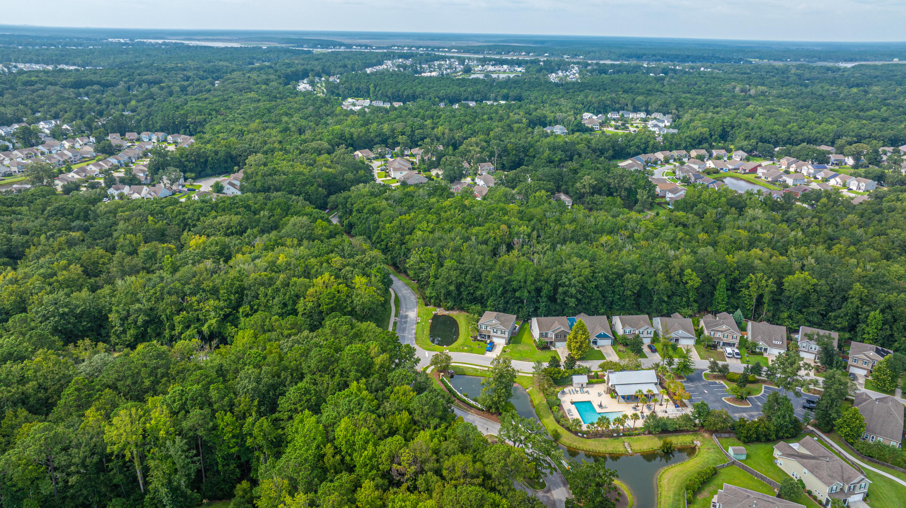 3845 Tupelo Branch Row Mount Pleasant, SC 29429 - Photo 46 of 59 DJI_20250820155406_0506_D