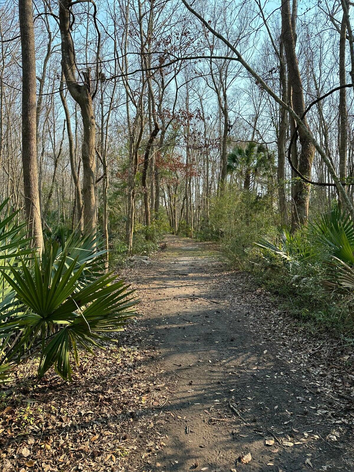 3845 Tupelo Branch Row Mount Pleasant, SC 29429 - Photo 59 of 59 walking trails