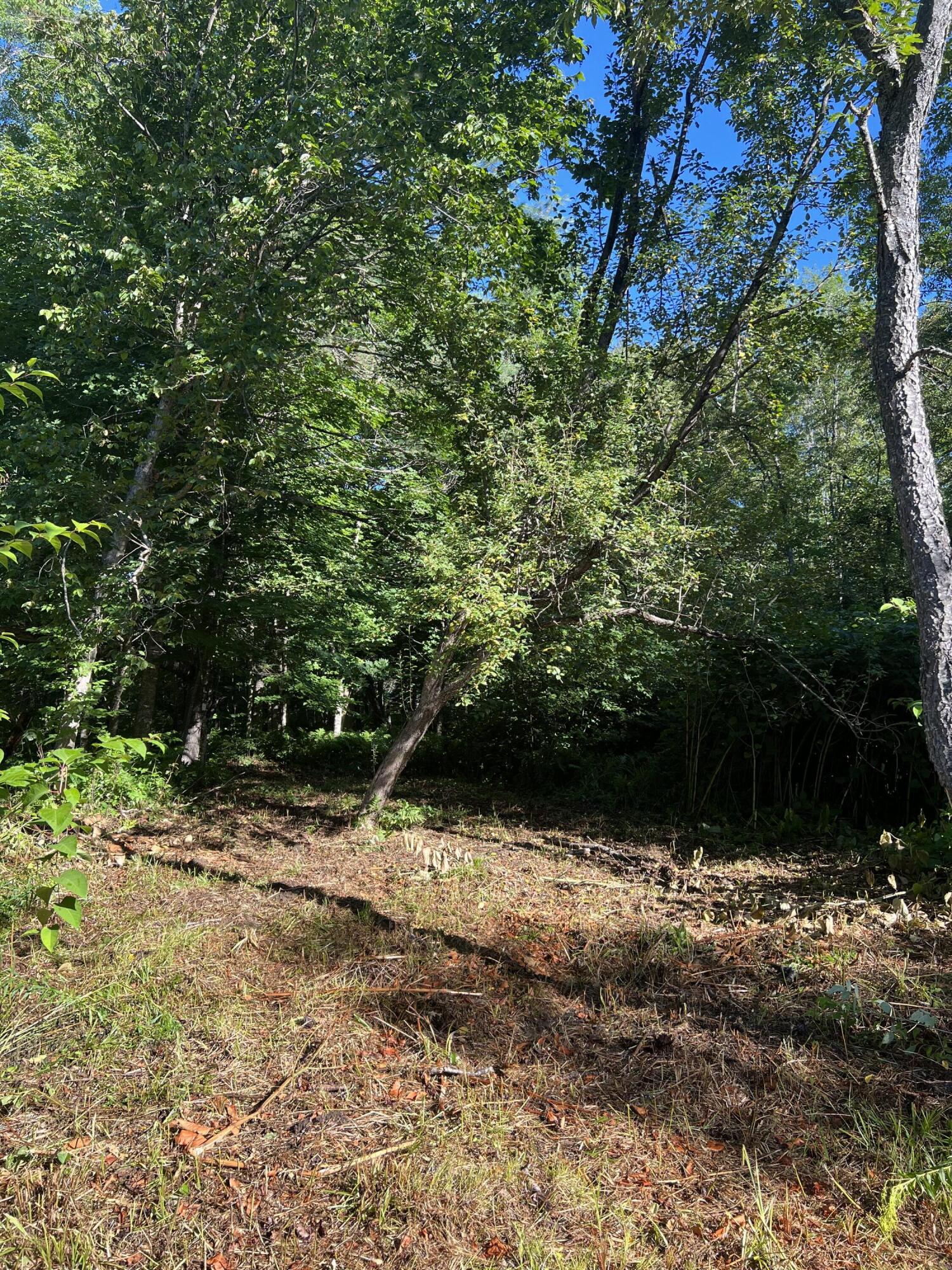 Tbd Back Road New Portland, ME 04961 - Photo 4 of 17 IMG_6486