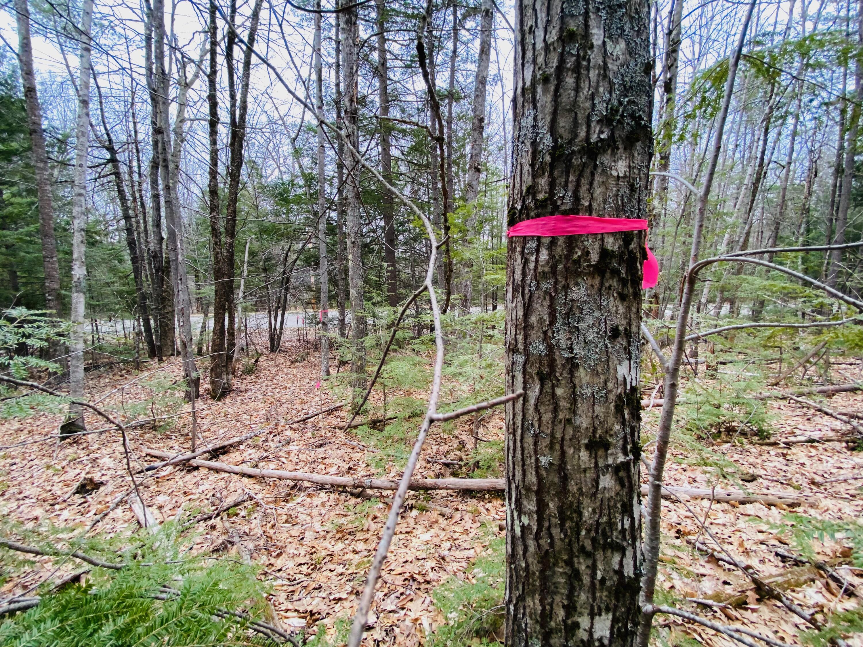 45 Shore Road Kents Hill, ME 04349 - Photo 15 of 47 BUILDING LOT