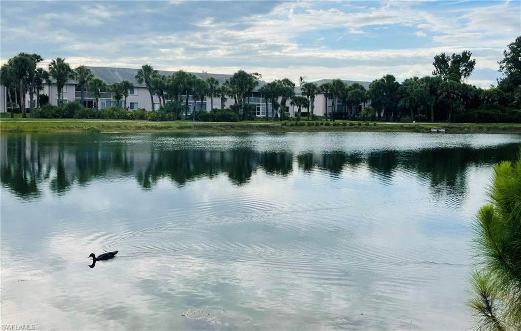 153 Gabriel Circle, Unit 3003 Naples, FL 34104 - Photo 28 of 38 a view of a lake with a city