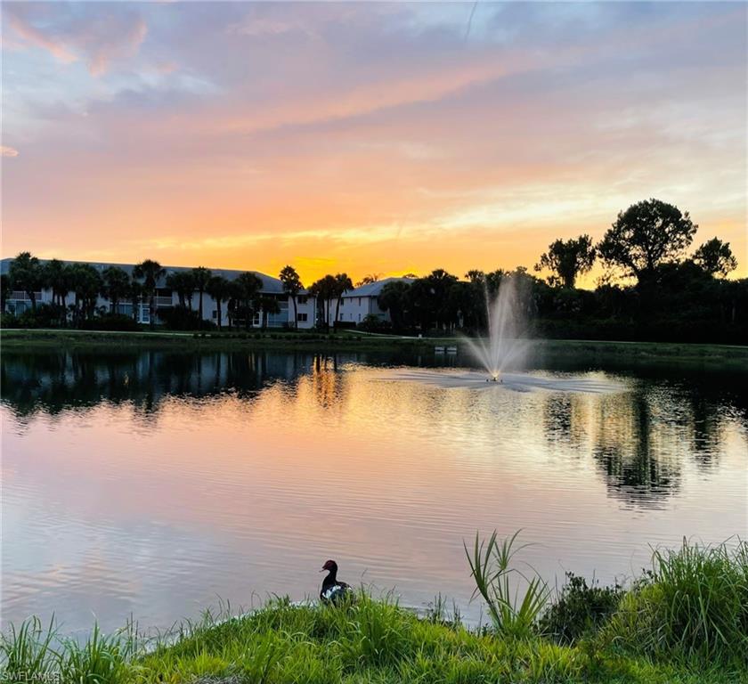 153 Gabriel Circle, Unit 3003 Naples, FL 34104 - Photo 31 of 38 a view of lake