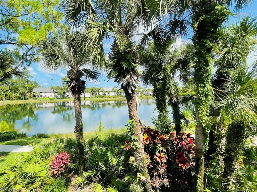 153 Gabriel Circle, Unit 3003 Naples, FL 34104 - Photo 5 of 38 a lake view with a tree