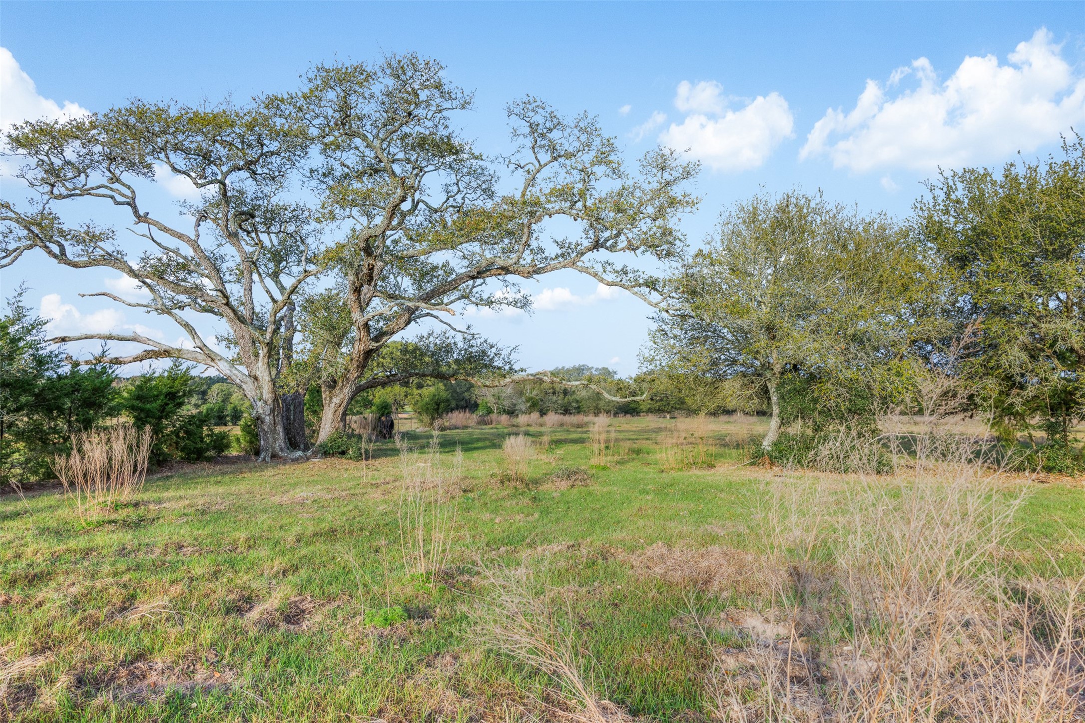 1017 New Ulm Road Cat Spring, TX 78933 - Photo 9 of 25