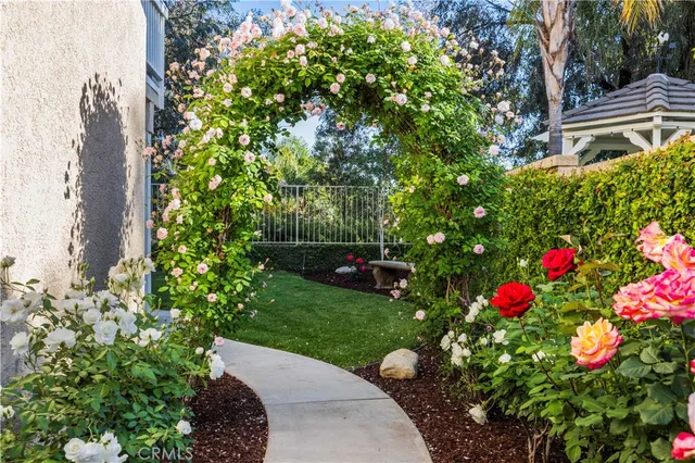 a view of a garden with flowers and trees