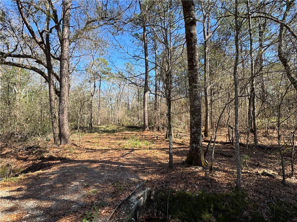 Lot 2 South Strain Road Mandeville, LA 70471 - Photo 4 of 9