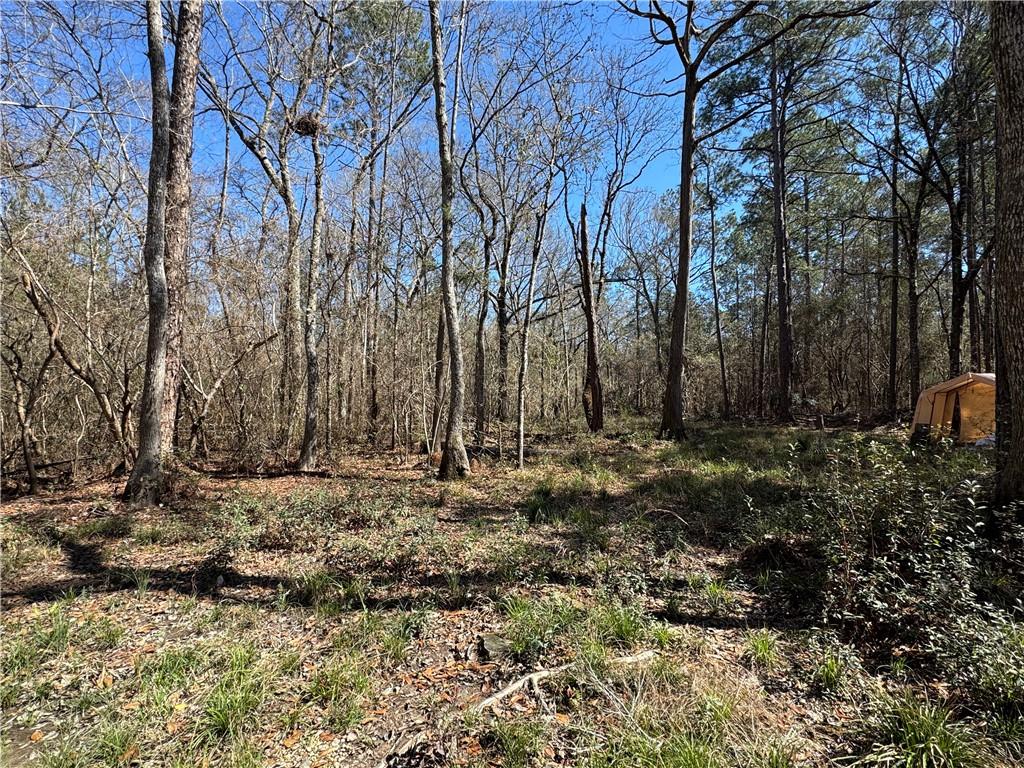 Lot 2 South Strain Road Mandeville, LA 70471 - Photo 6 of 9