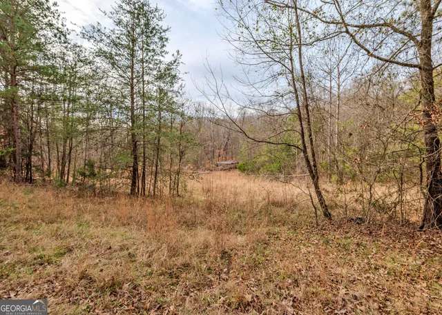 $40,000 | 0 Andrews Subdivision Lot 5b & 6, Lavonia, GA 30553