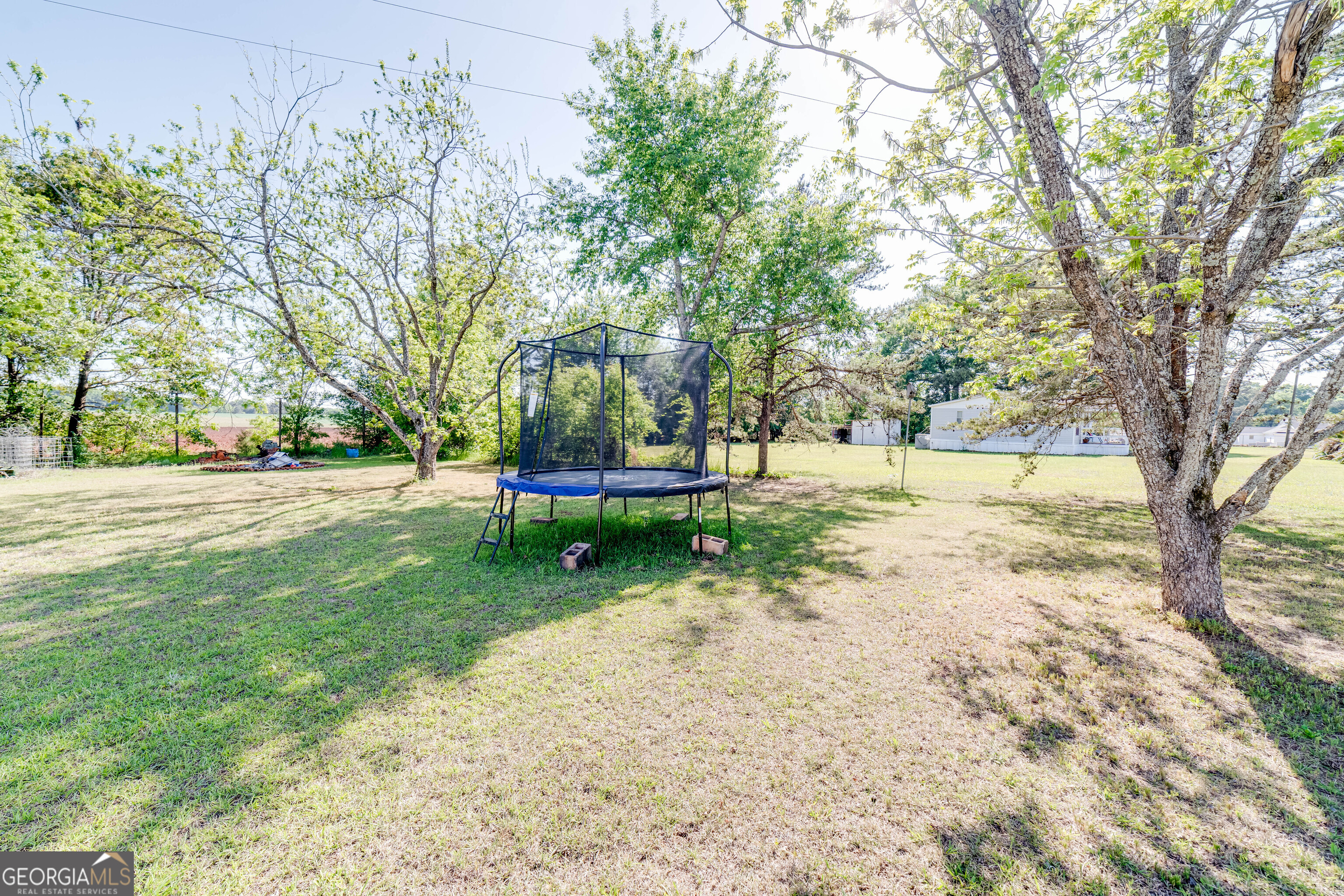 2338 Colomokee Church Road Blakely, GA 39823 - Photo 38 of 39