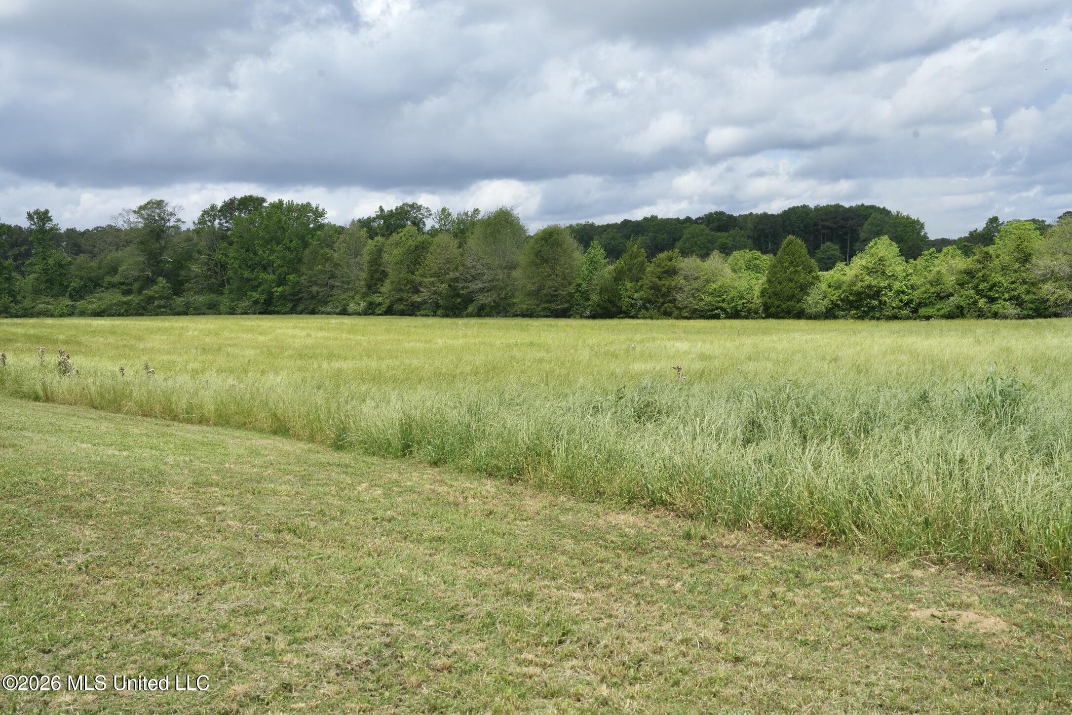 6594 Miller Road Smithdale, MS 39664 - Photo 24 of 45 A135847F-B9BC-4B80-A489-090D9998C4E9_1_1