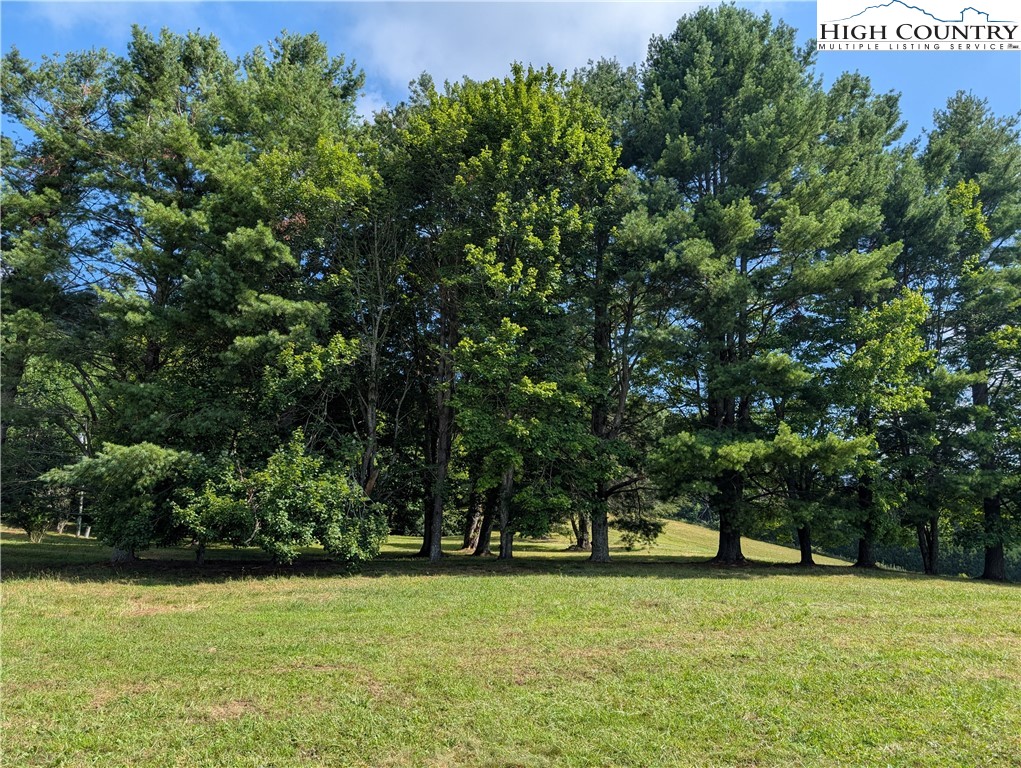 803 Flat Rock Road Crumpler, NC 28617 - Photo 11 of 50 a view of a green field with trees in the background