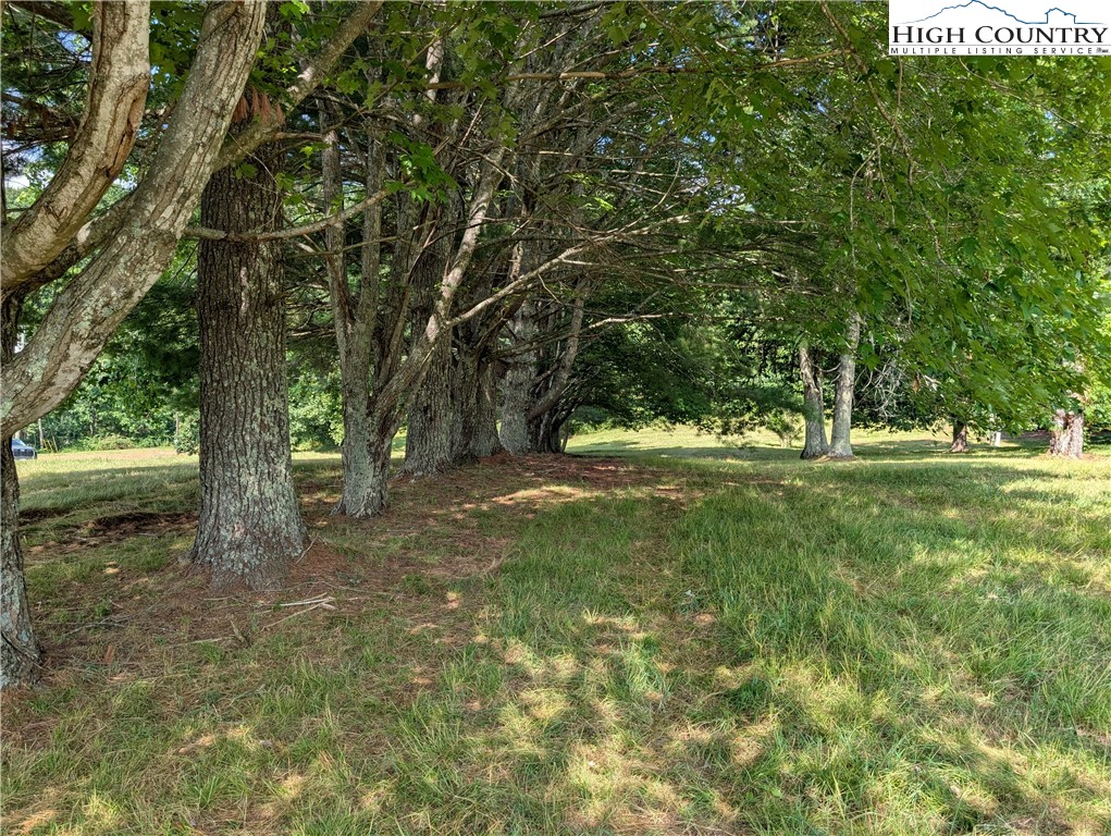 803 Flat Rock Road Crumpler, NC 28617 - Photo 19 of 50 a view of outdoor space with trees all around
