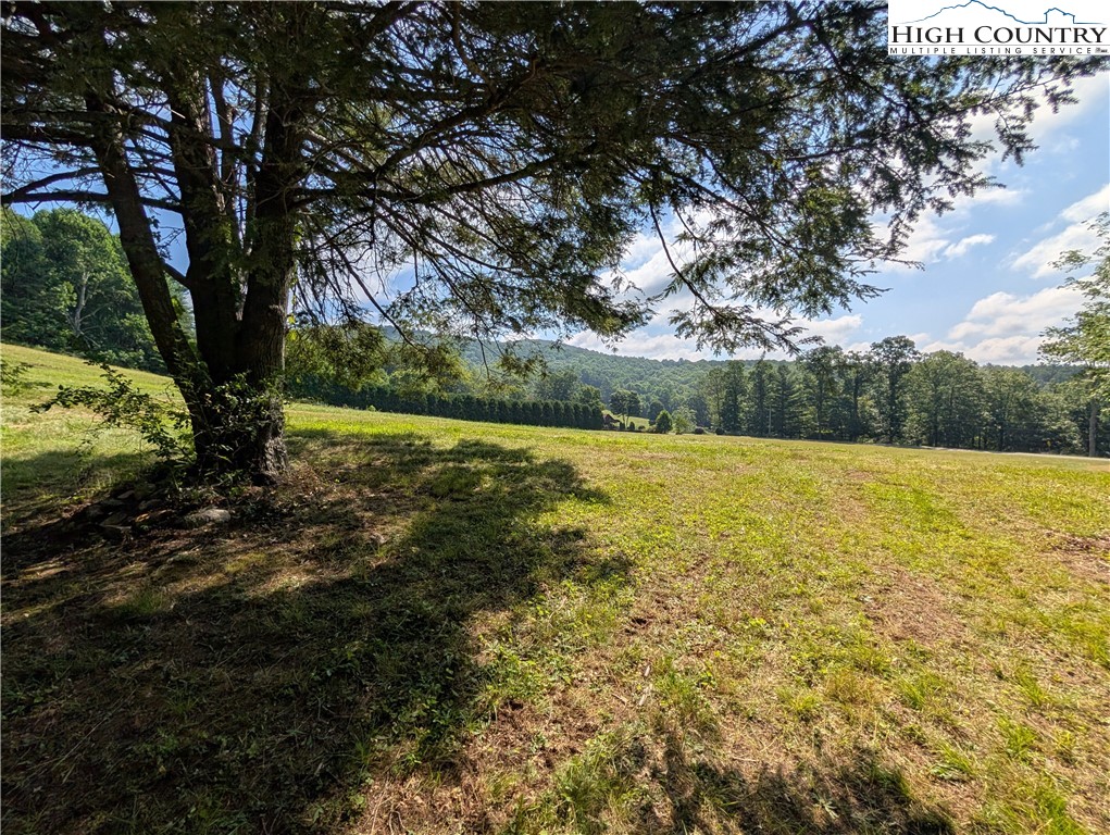 803 Flat Rock Road Crumpler, NC 28617 - Photo 21 of 50 a view of a yard with an outdoor space