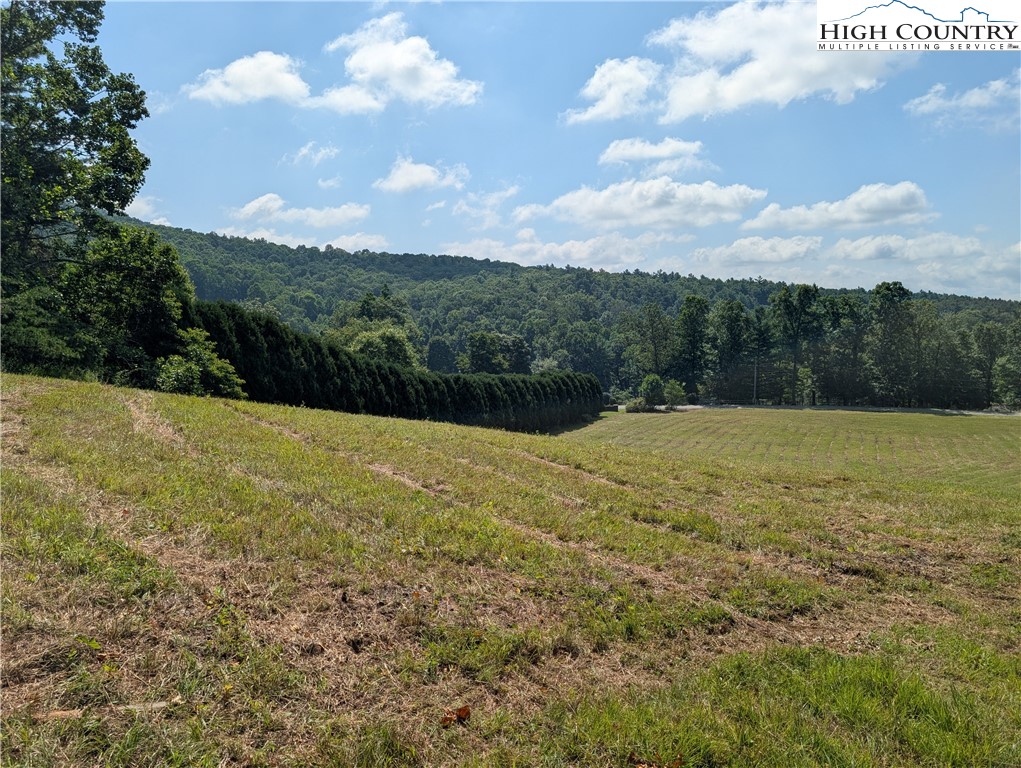 803 Flat Rock Road Crumpler, NC 28617 - Photo 45 of 50 a view of outdoor space with mountain view
