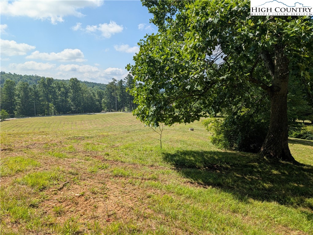 803 Flat Rock Road Crumpler, NC 28617 - Photo 47 of 50 a view of an outdoor space and a yard