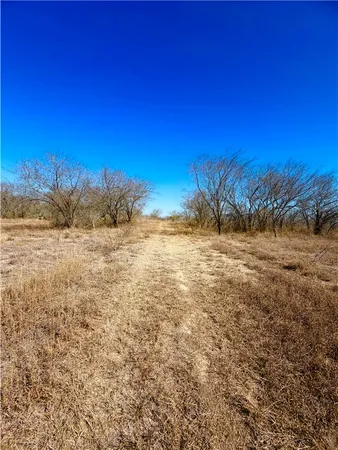 $100,000 | 0 Tract 13 San Diego Creek Ranch, San Diego, TX 78384