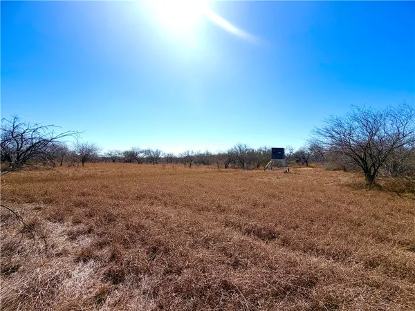 $100,000 | 0 Tract 13 San Diego Creek Ranch, San Diego, TX 78384