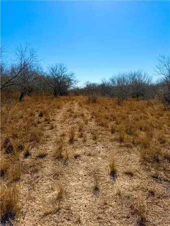 $100,000 | 0 Tract 13 San Diego Creek Ranch, San Diego, TX 78384