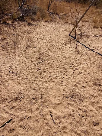 $100,000 | 0 Tract 13 San Diego Creek Ranch, San Diego, TX 78384