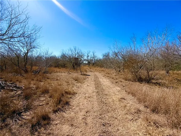 $100,000 | 0 Tract 13 San Diego Creek Ranch, San Diego, TX 78384
