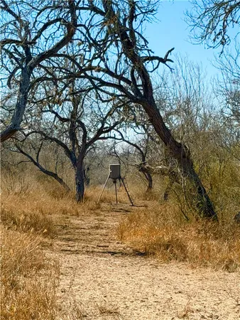 $100,000 | 0 Tract 13 San Diego Creek Ranch, San Diego, TX 78384