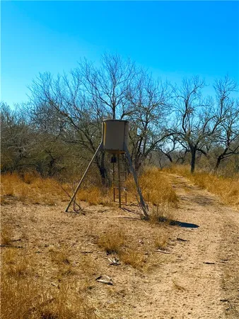 $100,000 | 0 Tract 13 San Diego Creek Ranch, San Diego, TX 78384