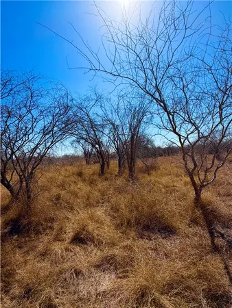 $100,000 | 0 Tract 13 San Diego Creek Ranch, San Diego, TX 78384