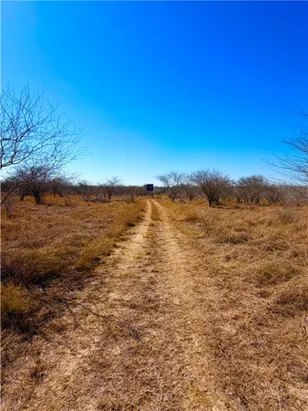 $100,000 | 0 Tract 13 San Diego Creek Ranch, San Diego, TX 78384