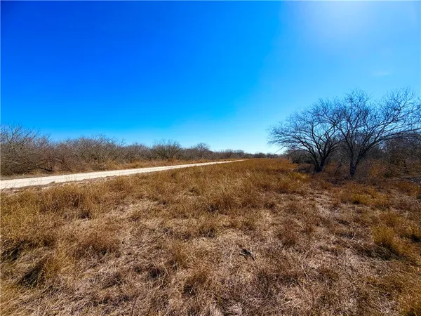 $100,000 | 0 Tract 13 San Diego Creek Ranch, San Diego, TX 78384